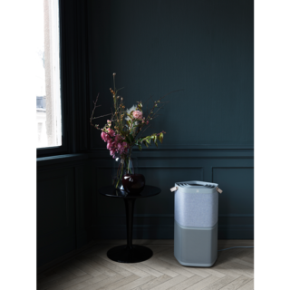 Electrolux - Čistička vzduchu Oxygen - PA91-404GY