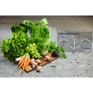 Electrolux - Frigoriferi i pavarur - LNT5ME32U1