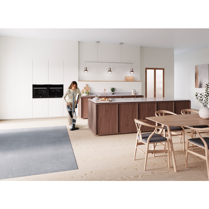 Electrolux - Tyčový vysavač - WQ81-PANIM