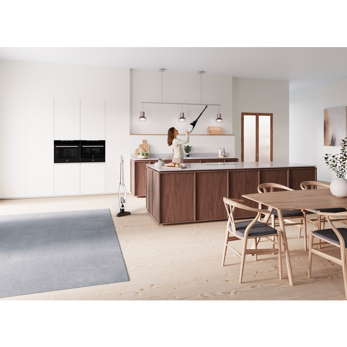 Electrolux - Tyčový vysavač - WQ81-ALRS