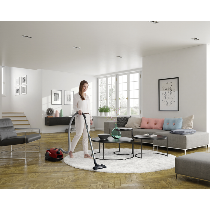 Electrolux - Sáčkový vysavač - EPF6ANIMAL