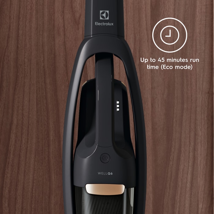 Electrolux - Tyčový vysavač - WQ61-42GG