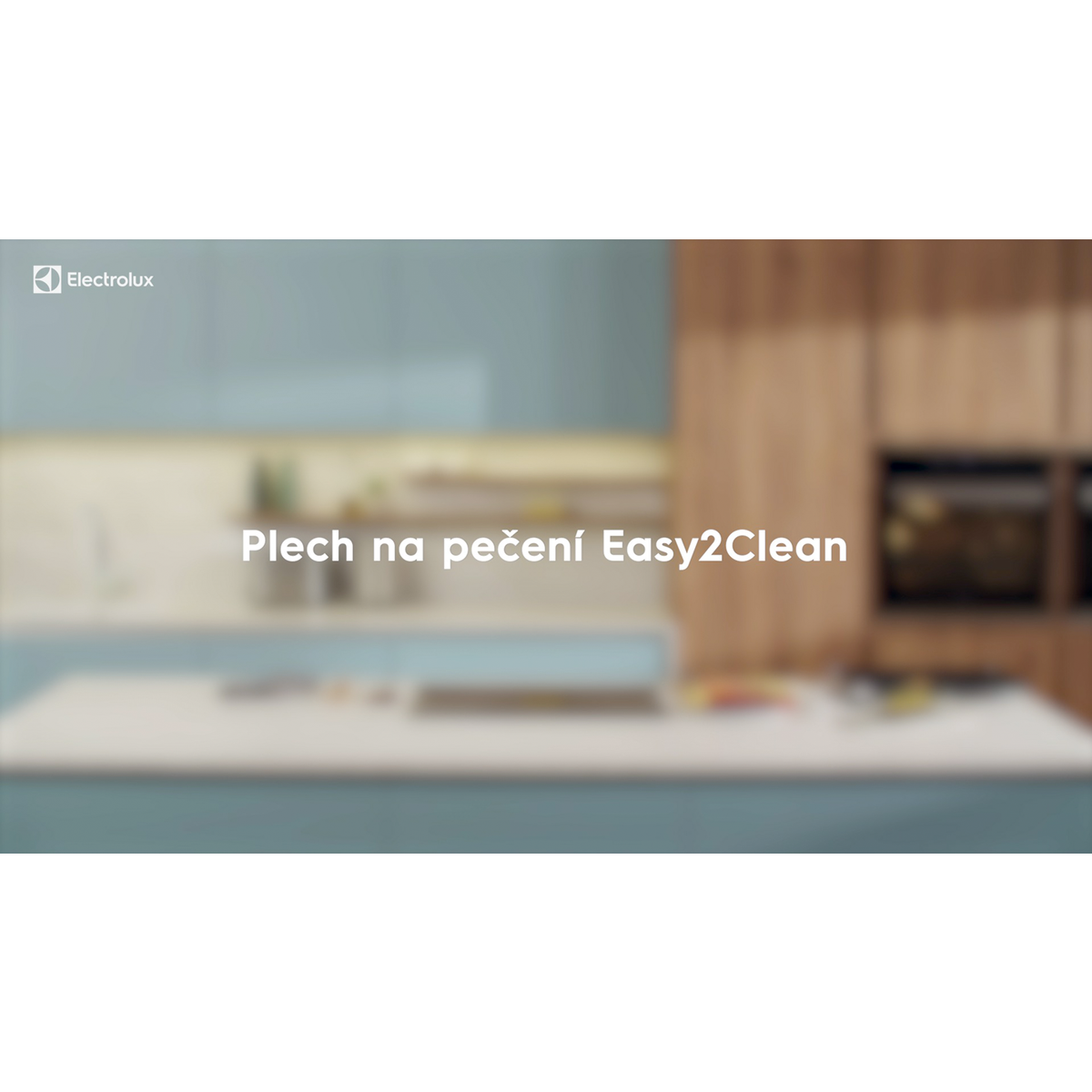Electrolux - Plech na pečení - E9OOAF11
