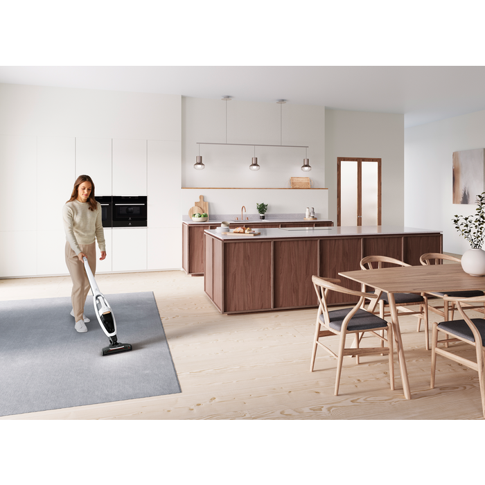 Electrolux - Tyčový vysavač - WQ81-ALRS