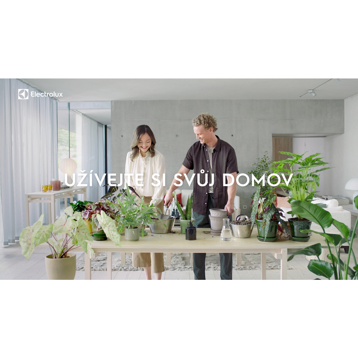 Electrolux - Tyčový vysavač - WQ61-44SW