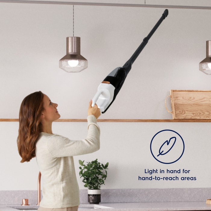 Electrolux - Tyčový vysavač - WQ81-ALRS