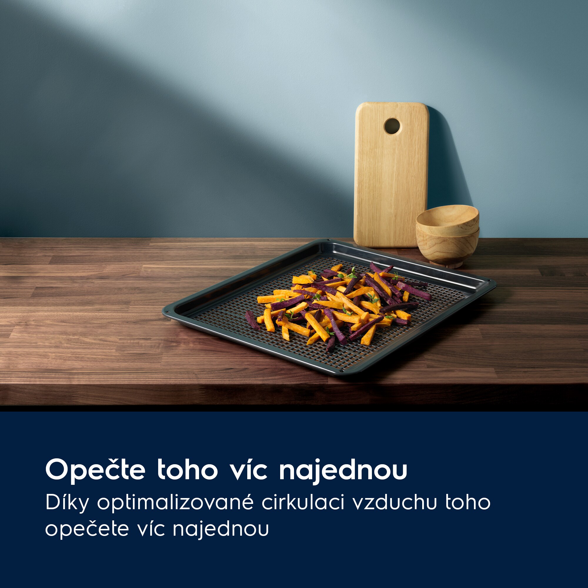 Electrolux - Plech na pečení - E9OOAF00