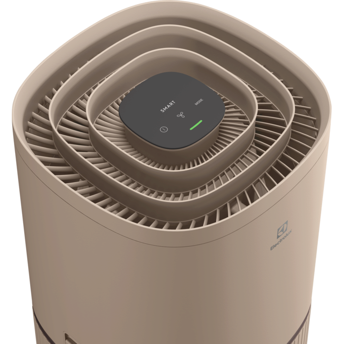 Electrolux - Čistička vzduchu Oxygen - EPO50571BG
