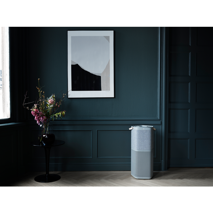 Electrolux - Čistička vzduchu Oxygen - PA91-404GY