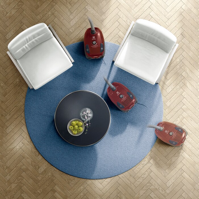 Electrolux - Sáčkový vysavač - EPF6ANIMAL