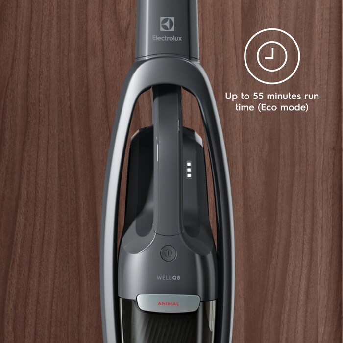 Electrolux - Tyčový vysavač - WQ81-PANIM