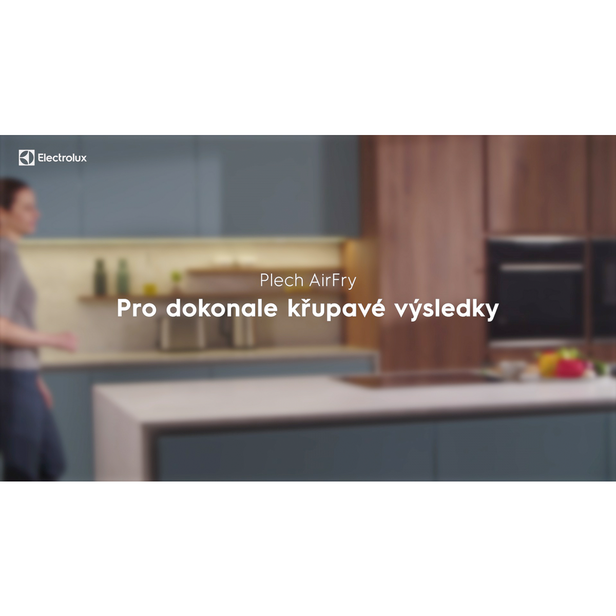 Electrolux - Plech na pečení - E9OOAF00