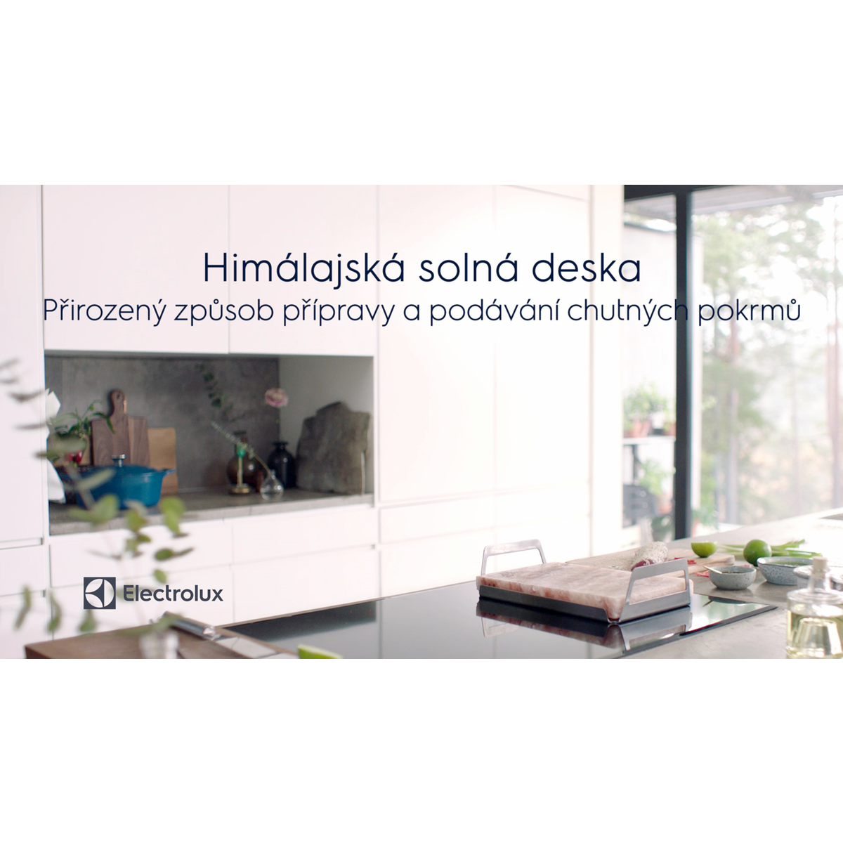 Electrolux - Salt Block - E2SLT