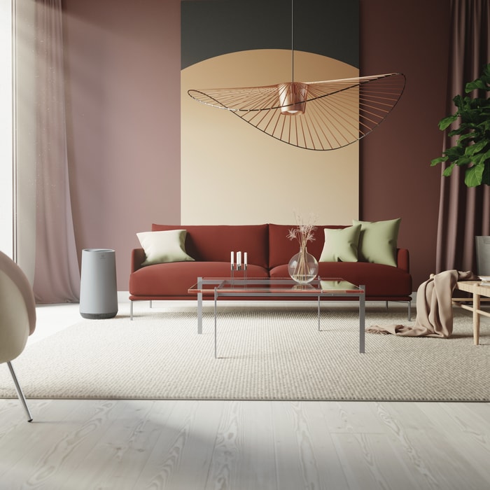 Electrolux - Filtr do čističky vzduchu - EFFBRZ2
