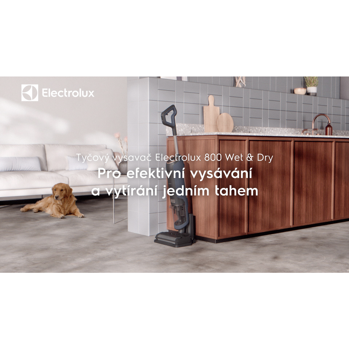 Electrolux - Tyčový vysavač Wet&Dry - EW81U3DB