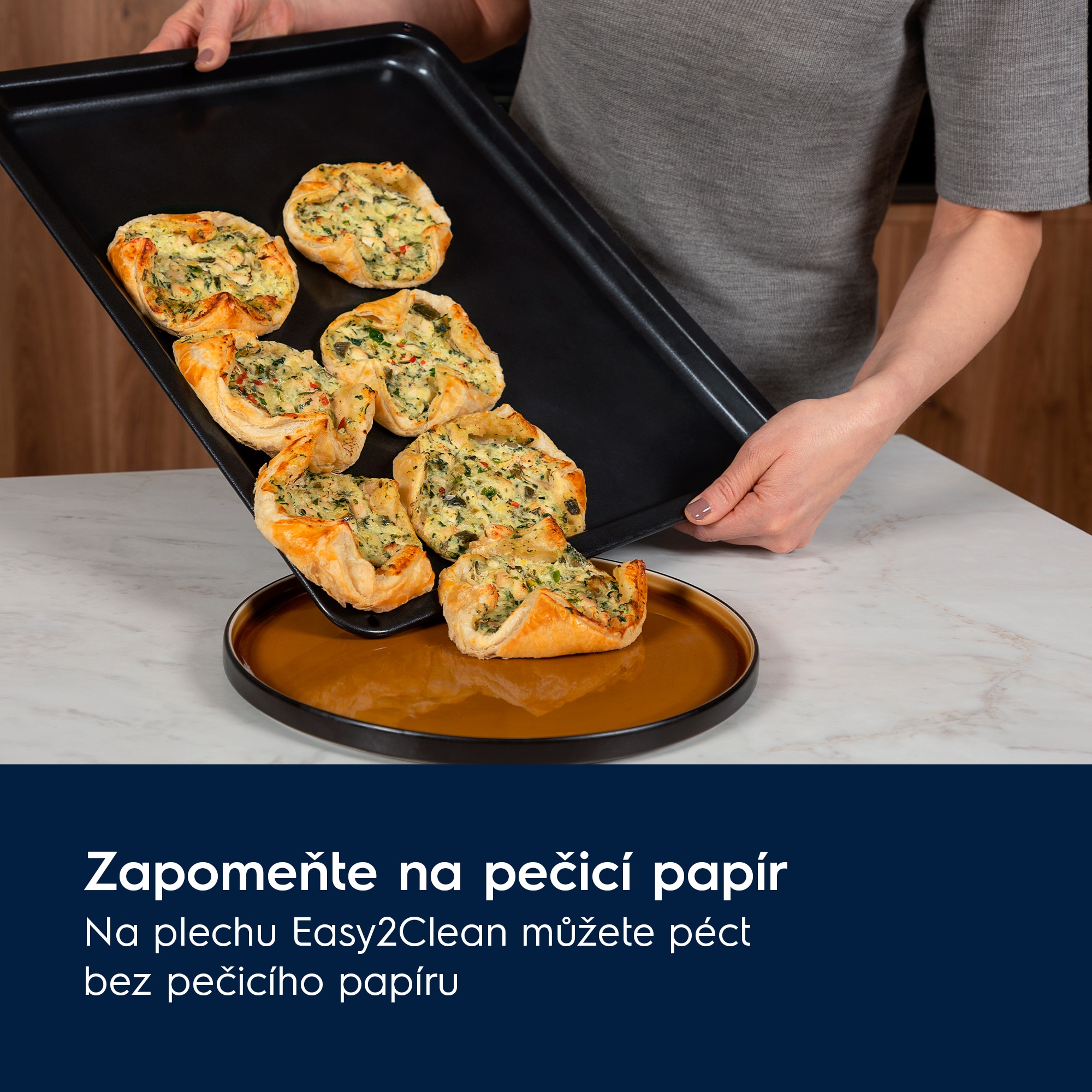 Electrolux - Plech na pečení - E9OOAF11