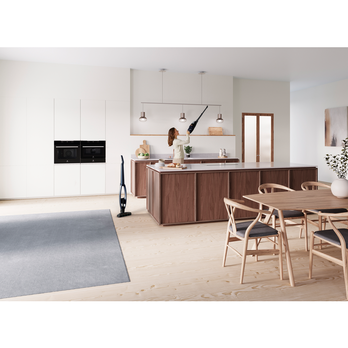 Electrolux - Tyčový vysavač - WQ71-P50IB