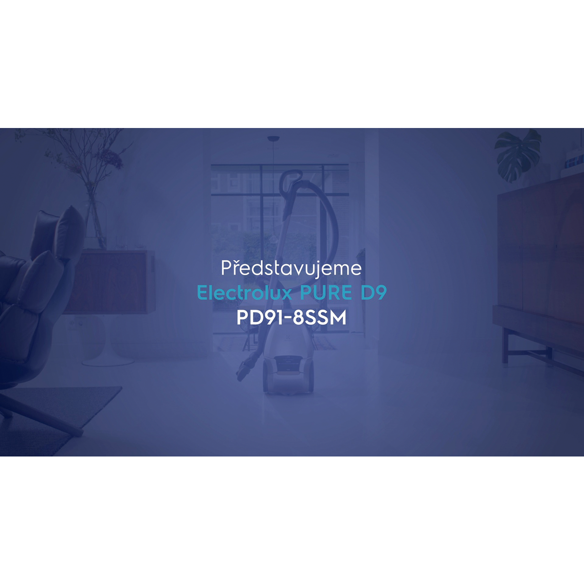 Electrolux - Sáčkový vysavač - PD91-8SSM