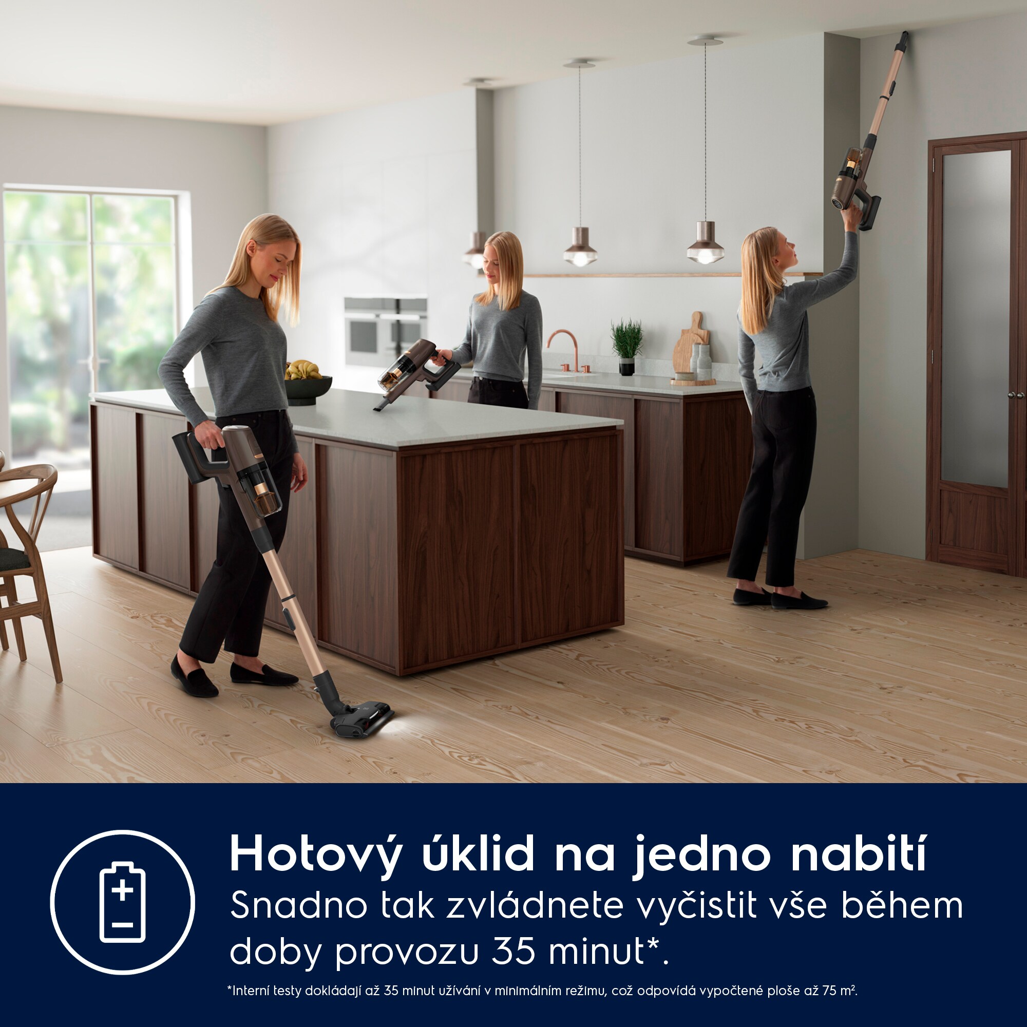 Electrolux - Tyčový vysavač - EP81U25ULT