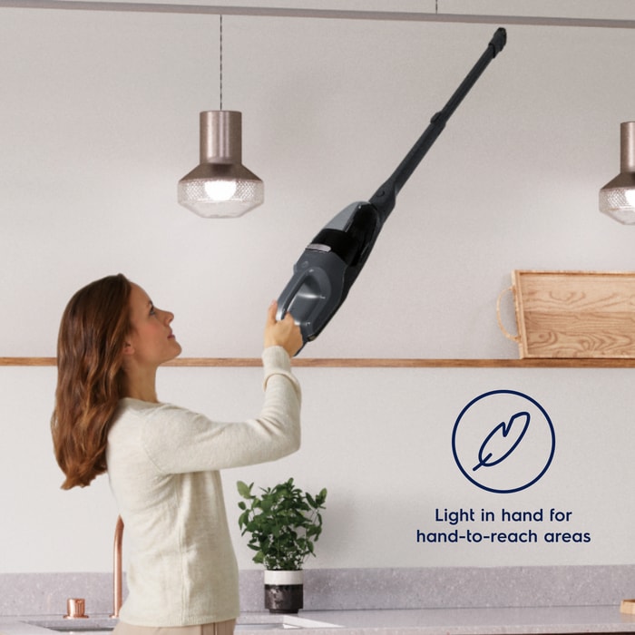 Electrolux - Tyčový vysavač - WQ81-PANIM