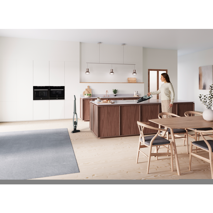 Electrolux - Tyčový vysavač - WQ61-40OG