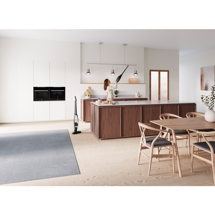 Electrolux - Tyčový vysavač - WQ81-PANIM