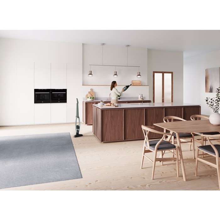 Electrolux - Tyčový vysavač - WQ61-40OG