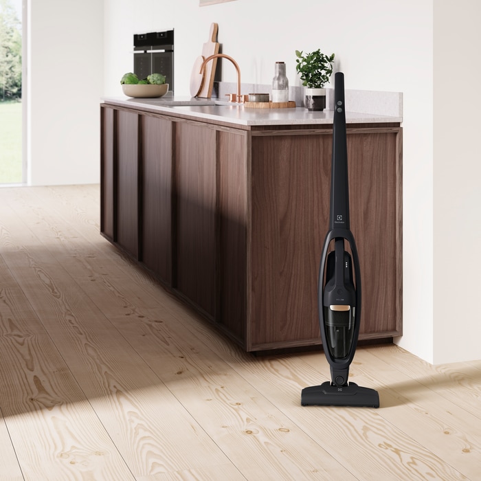 Electrolux - Tyčový vysavač - WQ61-42GG