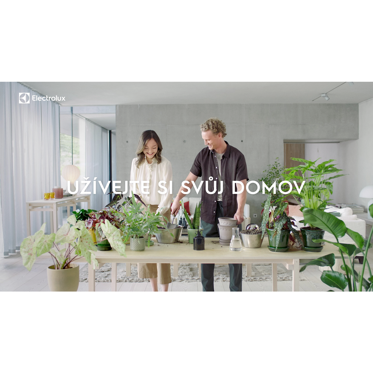 Electrolux - Tyčový vysavač - WQ61-46DB