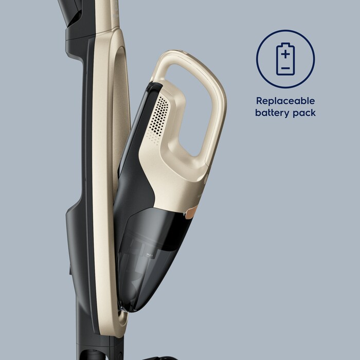 Electrolux - Tyčový vysavač - WQ71-P52SS