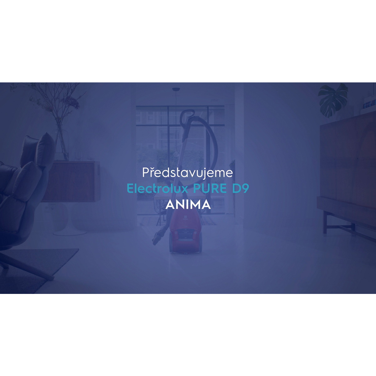 Electrolux - Sáčkový vysavač - PD91-ANIMA