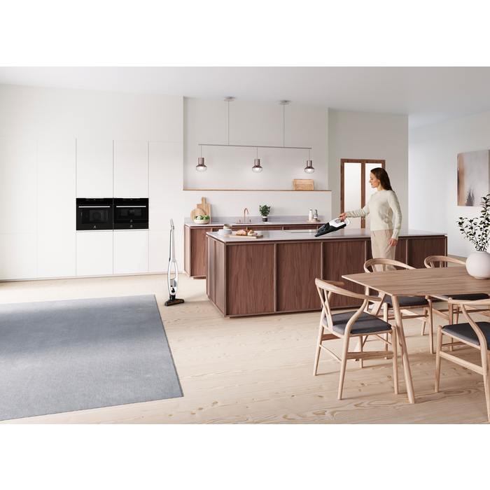 Electrolux - Tyčový vysavač - WQ81-ALRS