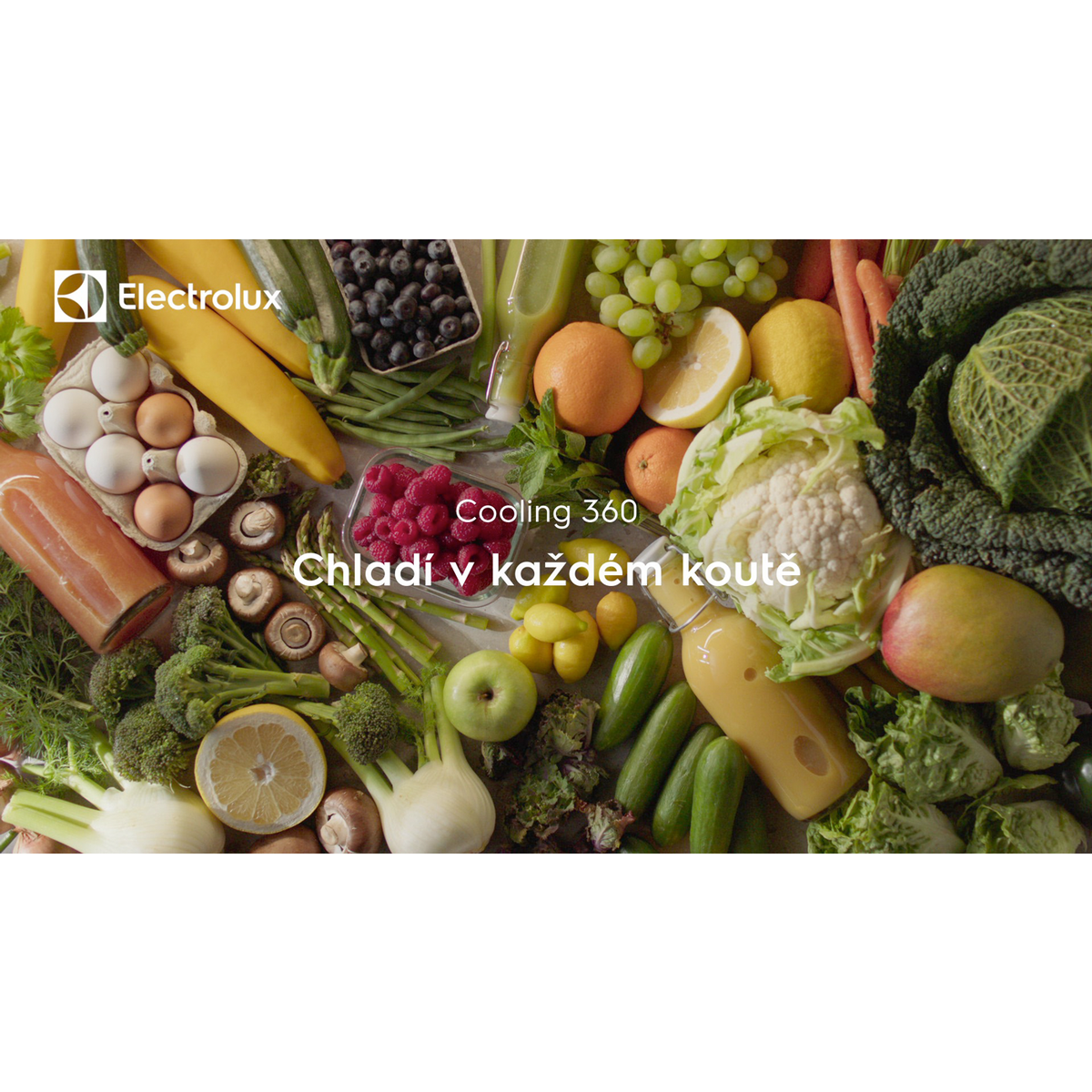 Electrolux - Vestavné chladničky s mrazákem - ENC8ME18R