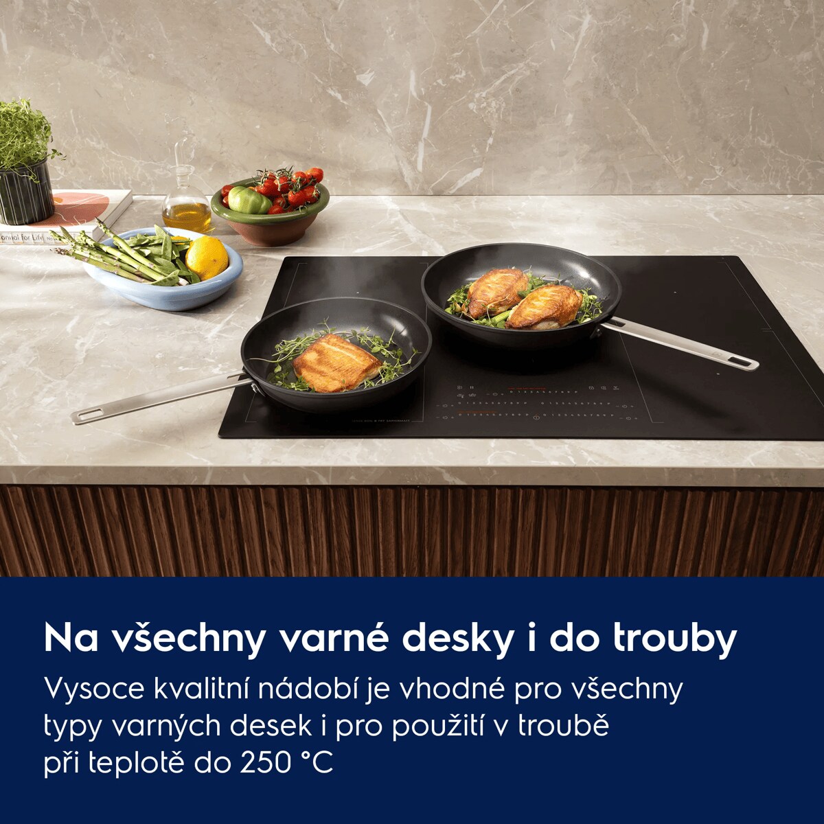 Na všechny varné desky i do trouby Všestranné, vysoce kvalitní nádobí je vhodné pro všechny typy varných desek i pro použití v troubě při teplotě do 250 °C