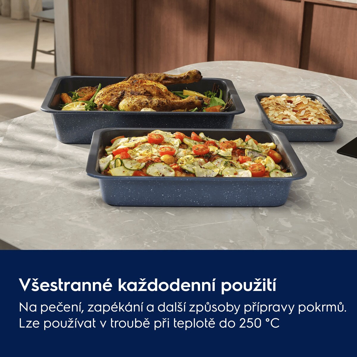 Všestranné každodenní použití Na pečení, opékání a další způsoby přípravy pokrmů. Lze používat v troubě při teplotě do 250 °C