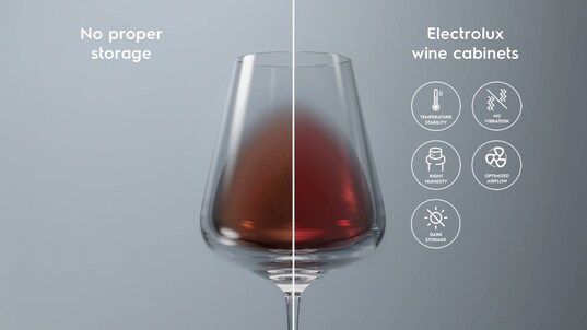 Cellar pro 5 benefits