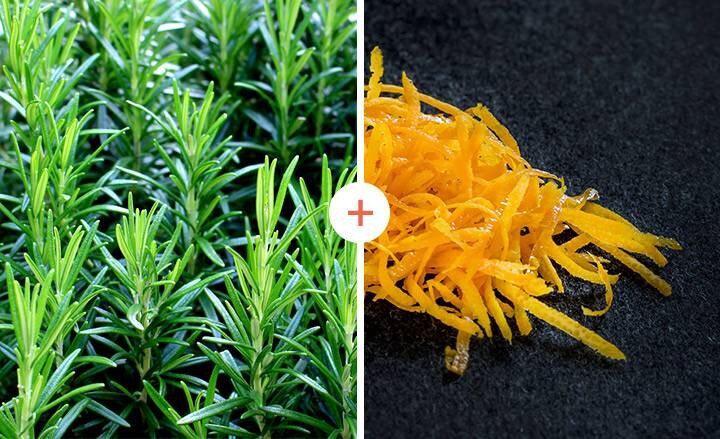 Rozmarýn a pomerančová kůra